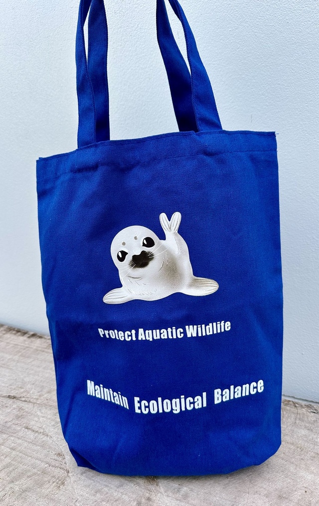 bag pouch additional product example