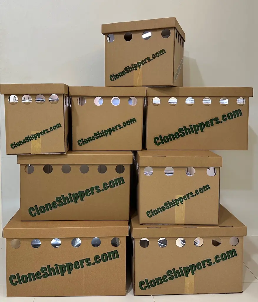 Box-pile_lighton_1.webp