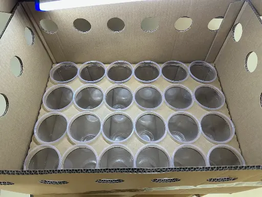 CloneShippers.com - L box set alternate view