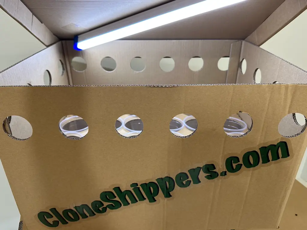 CloneShippers.com_L_box_lighton_box_view.webp