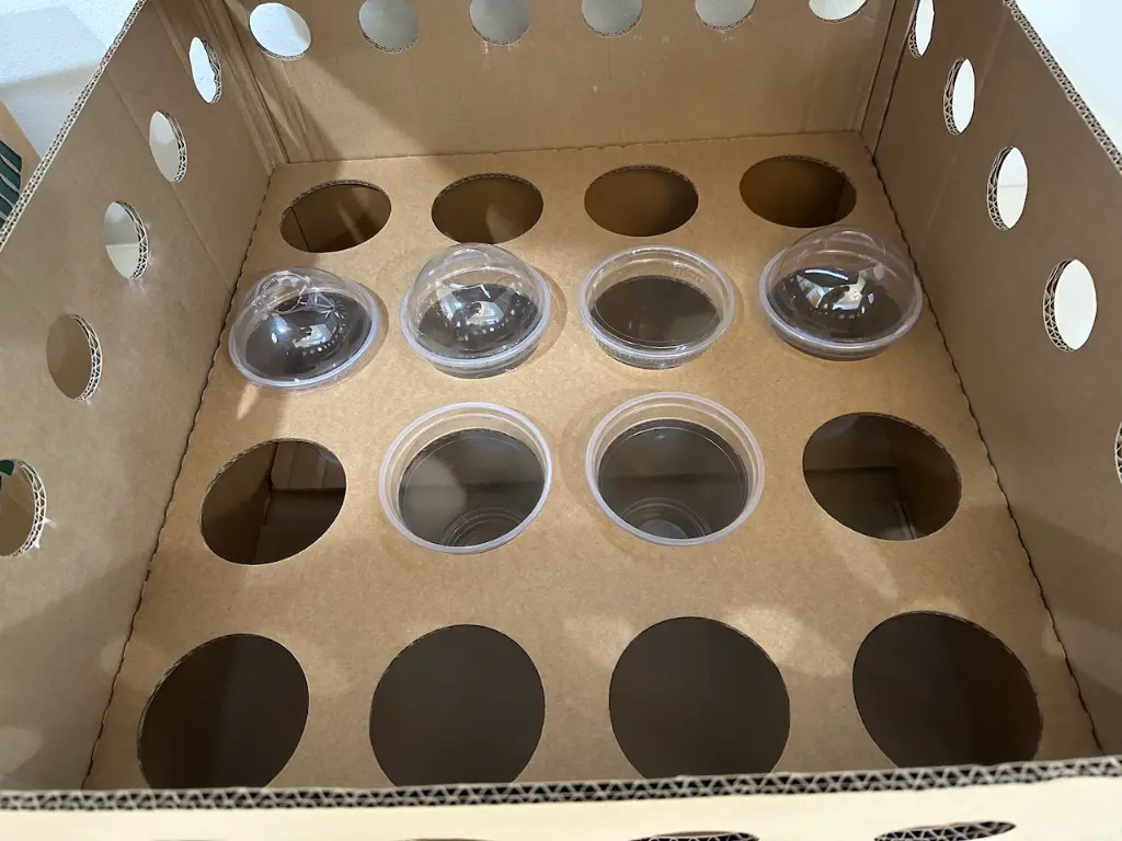 CloneShippers.com_XL_box_0,75L_cup_insert_2.webp