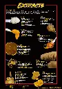 Canna extracts guide