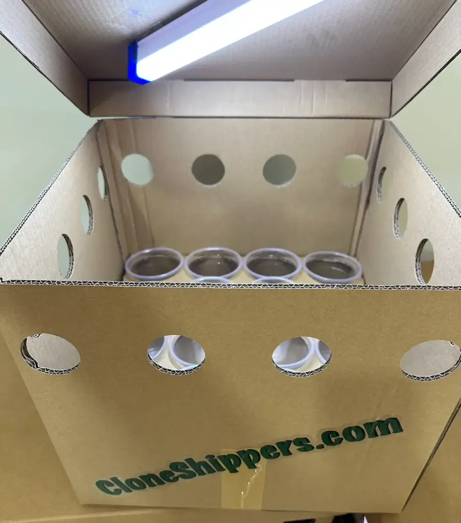 CloneShippers.com - S box set (Yes)