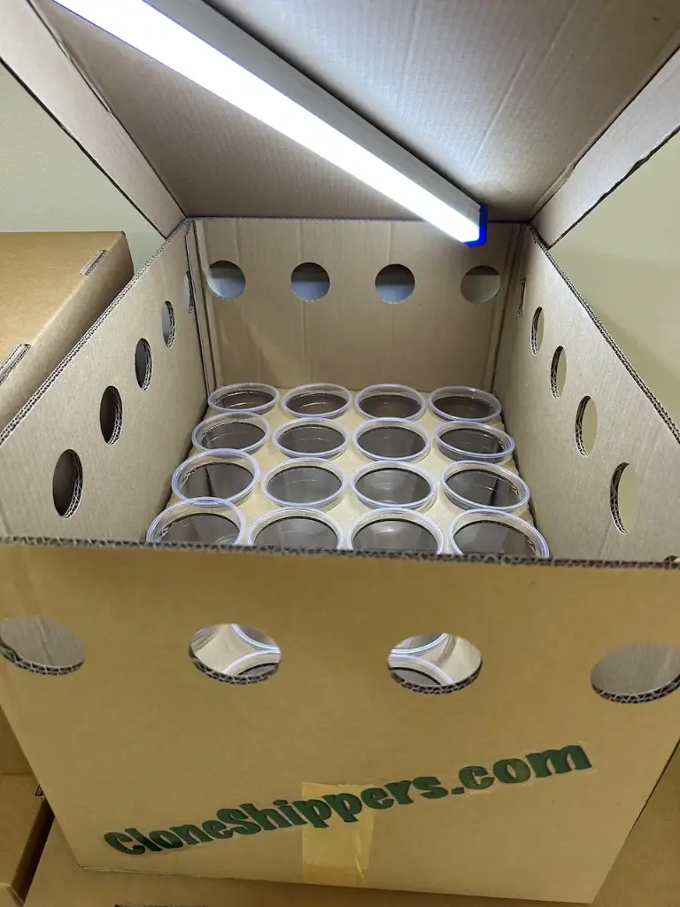 CloneShippers.com - L box set (XL - Tall cup (16oz), Yes)