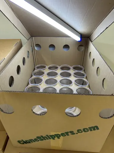 CloneShippers.com - L box set