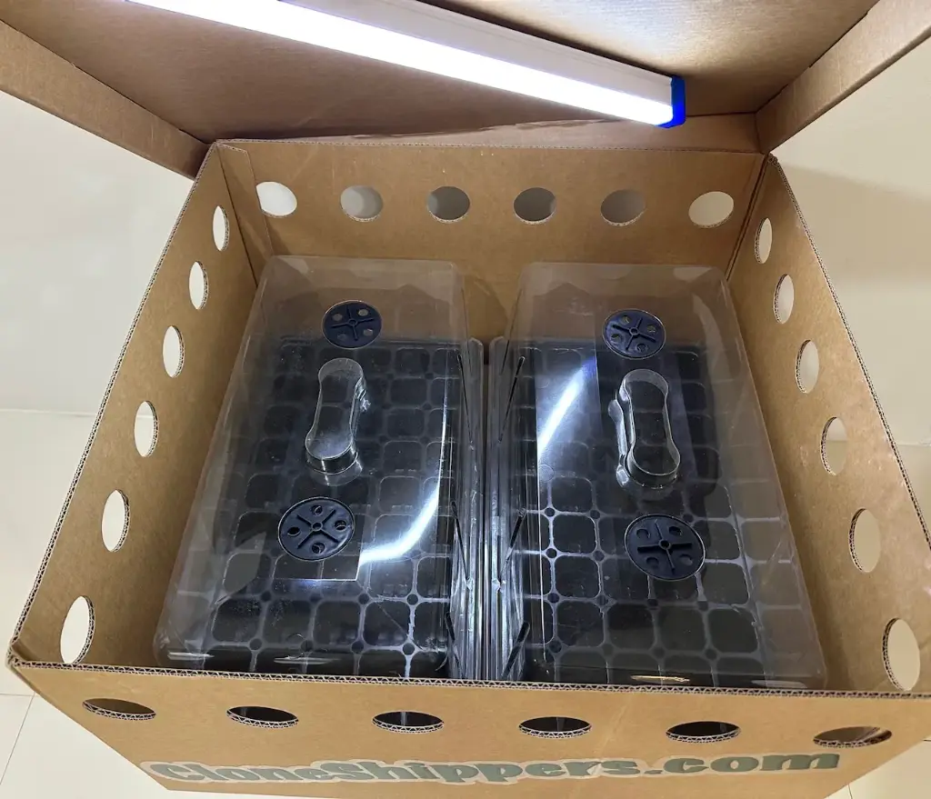 CloneShippers.com - XL box set (XL - Tall cup (16oz), Yes, 1, 1)
